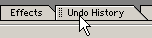 Undo History in palette well