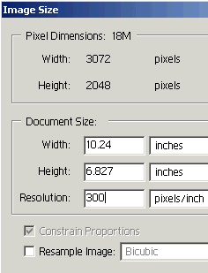 Image size at 300 ppi