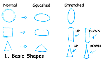 Basic Shapes