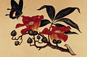 Positive and negative space