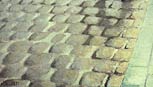 Texture 2