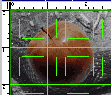 example of rulers and grid