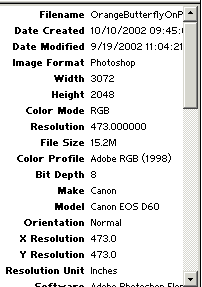 file data