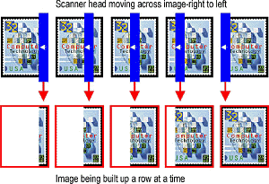 stamp_scan.gif (28117 bytes)