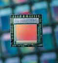 vision_sensor.jpg (3857 bytes)
