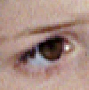 compress-none.jpg (11513 bytes)