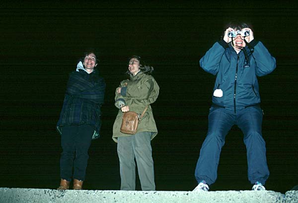 automatic_flash.jpg (31293 bytes)
