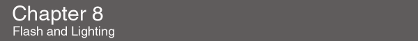chpt8.gif (2674 bytes)