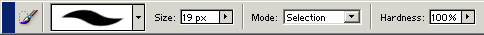 selectioni brush's options bar