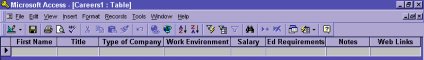 Field names in Microsoft Access