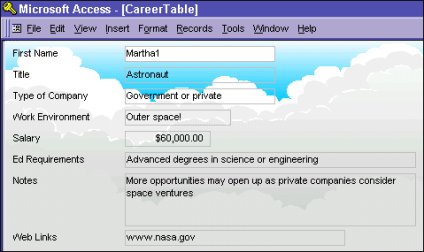 A form in Microsoft Access