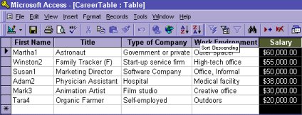 Data Records in Microsoft Access