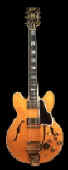 berryguitar.jpg (2402 bytes)